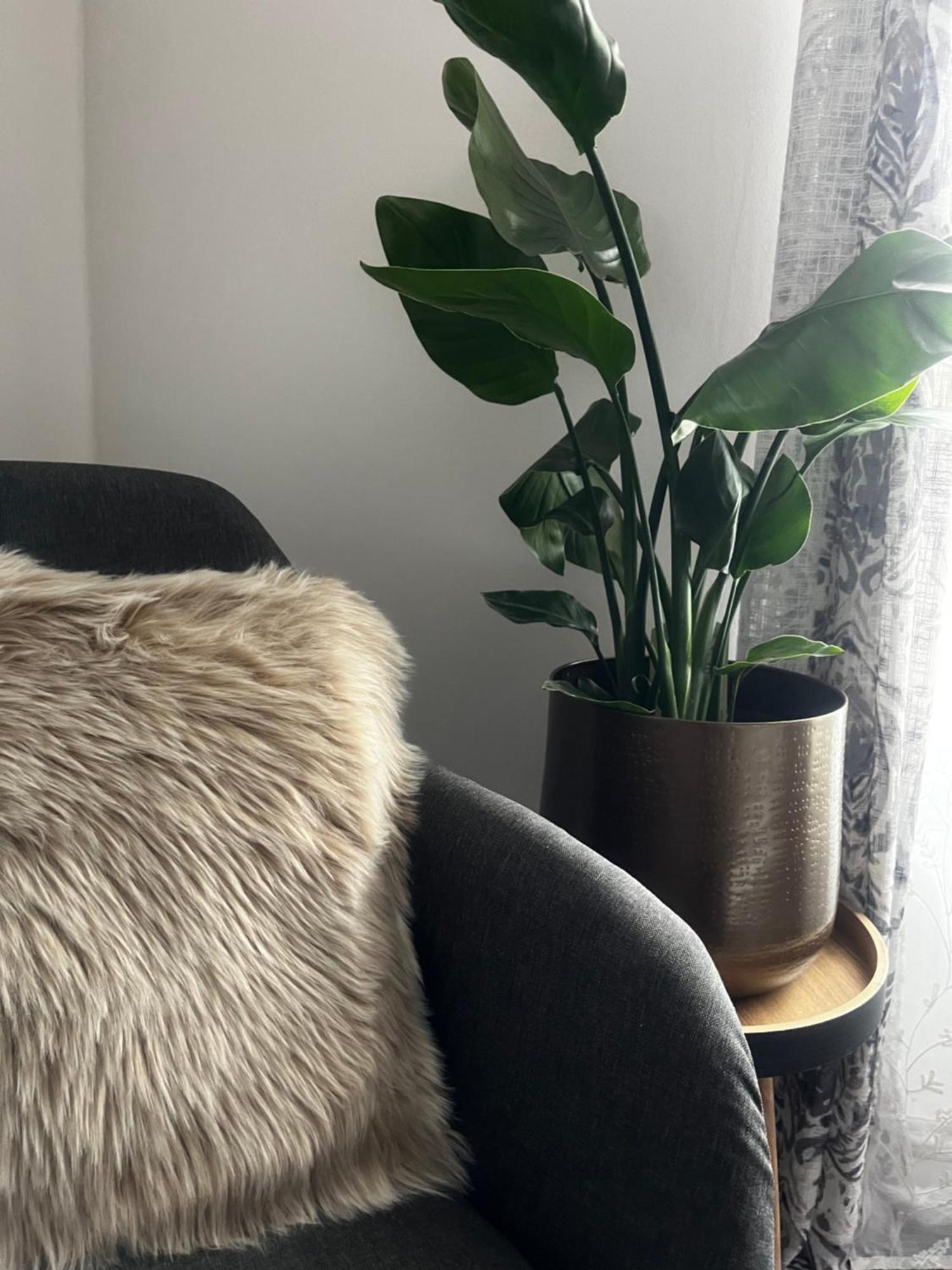 Oparno 38 Apartment Екстериор снимка